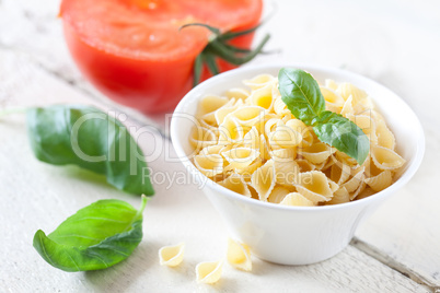 rohe Muschelnudeln / raw pasta