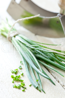 frischer Schnittlauch / fresh chives