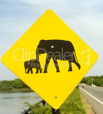 Elephant Sign