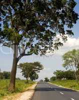 Country road in Sri Lankan