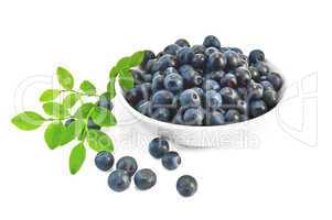 Blueberries in a bowl with a sheet