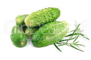 Cucumber with tarragon