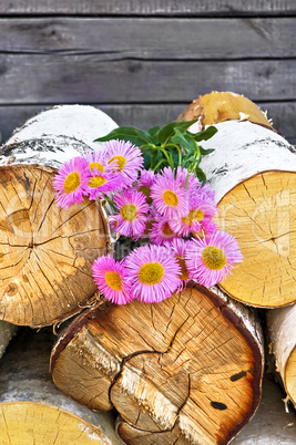 Pink flowers on wood