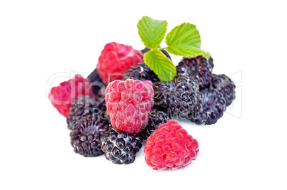 Raspberries and blackberries with a sheet