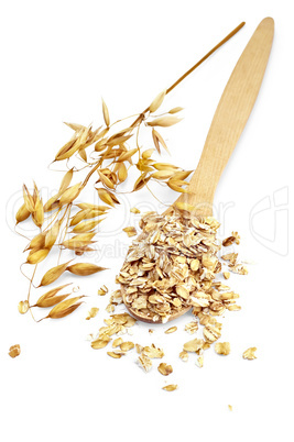 Rolled oats in a spoon