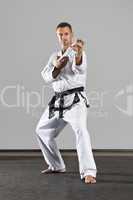 martial arts master