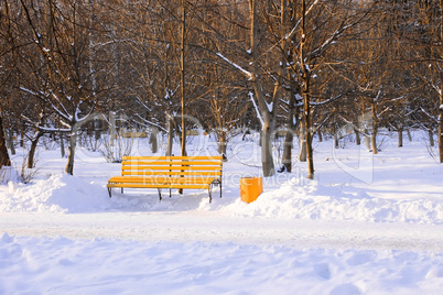 Bench in winter park