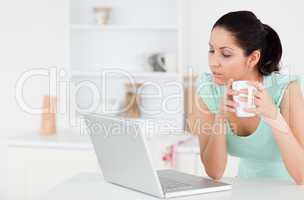 Lovely young woman looking to screen of laptop