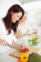 Beautiful young Women preparing dinner