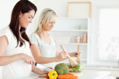 Women preparing dinner