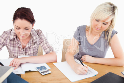 Lovely women doing their homework