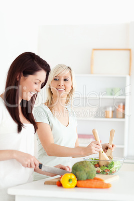 Gorgeous Women preparing dinner