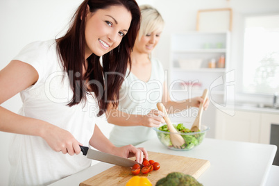 Gorgeous young Women preparing dinner