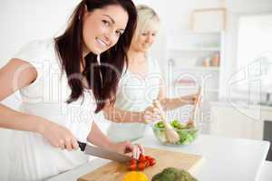 Gorgeous young Women preparing dinner