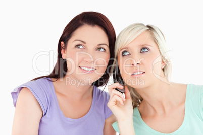 Portrait of charming women on the phone