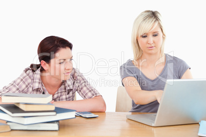 Gorgeous females learning at table