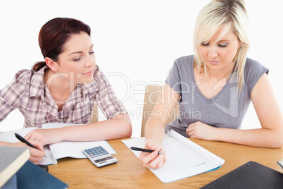 Pretty women doing their homework