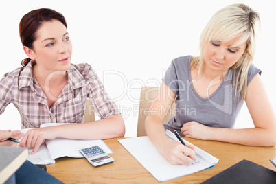 Gorgeous women learning at table Gorgeous women learning at table