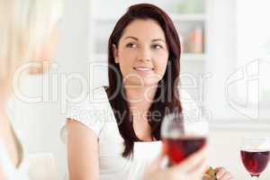 Portrait of smiling Women drinking wine