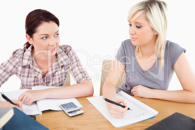 Gorgeous women doing their homework