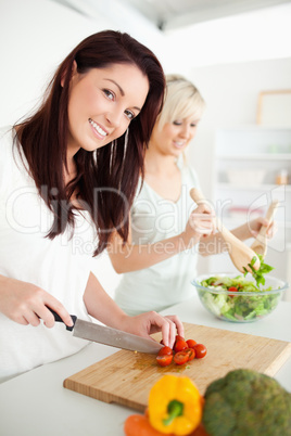 Cute Women preparing dinner
