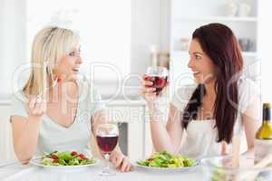 Charming women drinking wine