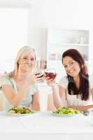 Cute Women toasting with wine