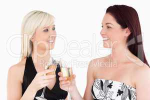 Gorgeous women in beautiful dresses toasting with champaign