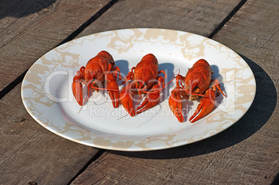 Three red boiled  crawfish.
