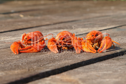 Three red boiled  crawfish on a boards.