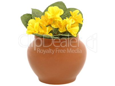 Clay pot and yellow flower.