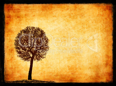 grunge frame with tree silhouette