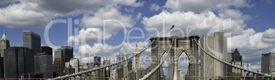 Panoramic View of New York City Buildings