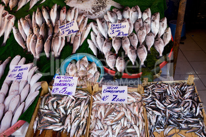 Fish Market Stall
