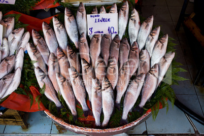 Sea Bass Stall