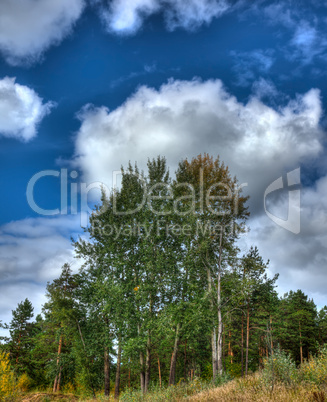 Autumn landscape.