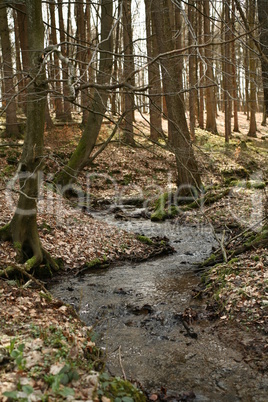 Waldbach