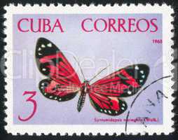 poststamp butterfly