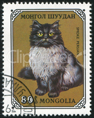 poststamp Cat