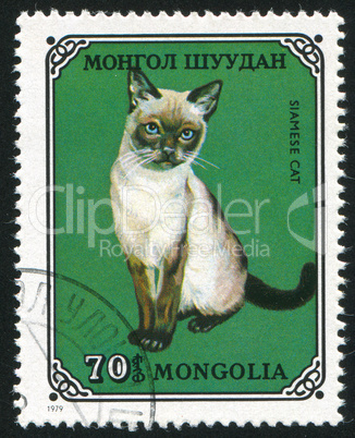 poststamp Cat