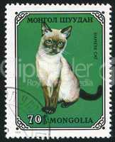 poststamp Cat