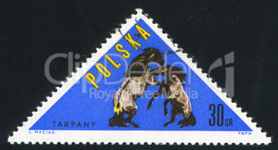 poststamp