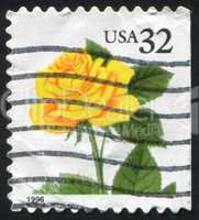 stamp rose