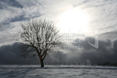 Winterlandschaft