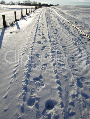 Spuren im Schnee