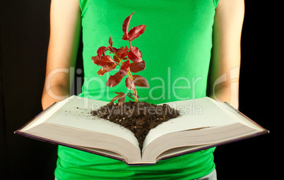 Woman with open book and seedling grown from it