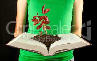 Woman with open book and seedling grown from it