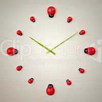 ladybird clock