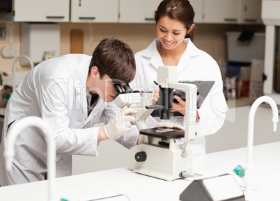 Scientist looking in a microscope while his coworker is taking n