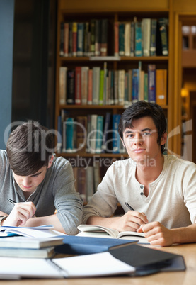 Portrait of students working on an essay